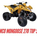 Kymco Mongoose 270 Top Speed